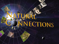 Natural Connections
