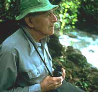 A Naturalist in the Rainforest